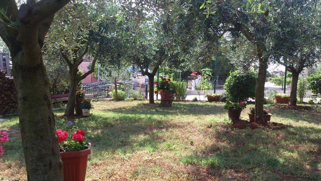 Apartment Mana Umag