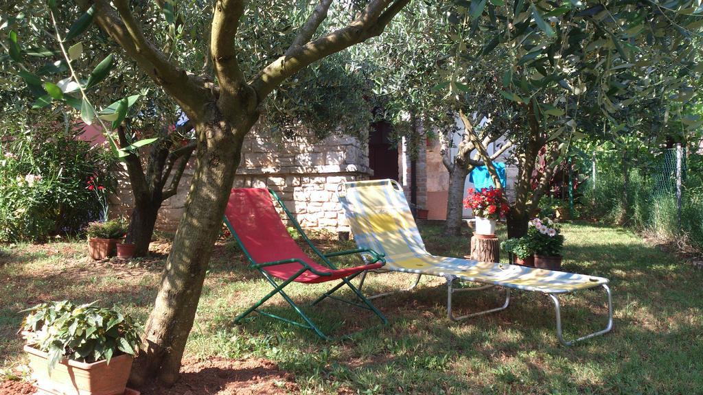 Apartament Mana